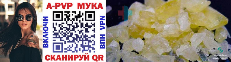 закладки  Горбатов  hydra как войти  APVP крисы CK 