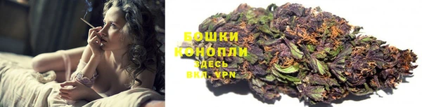 амф Бронницы