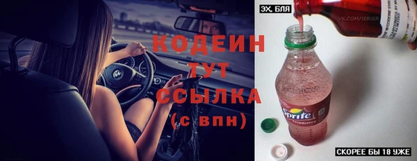 ГАЛЛЮЦИНОГЕННЫЕ ГРИБЫ Верея
