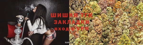 прущие грибы Бугульма