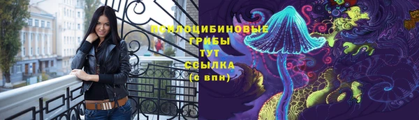 ГАЛЛЮЦИНОГЕННЫЕ ГРИБЫ Верея